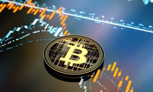 Không tìm thấy đỉnh, Bitcoin tăng lên gần 55.000 USD, vốn hoá chính thức cán mốc 1 nghìn tỷ USD